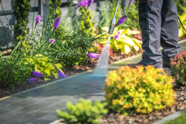 Best Fence Cleaning and Maintenance in Seymour, TX