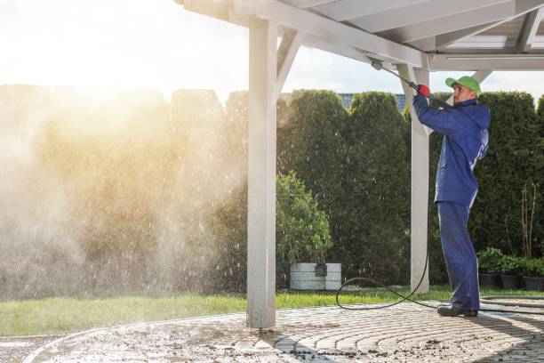 Best Soft Washing for Delicate Surfaces in Seymour, TX
