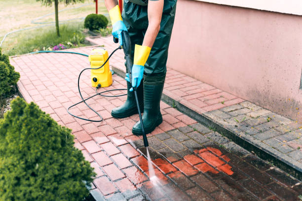 Best Window and Screen Pressure Cleaning in Seymour, TX